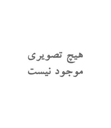 خرید آویز گردنی دست ساز نقره گلبرگ
